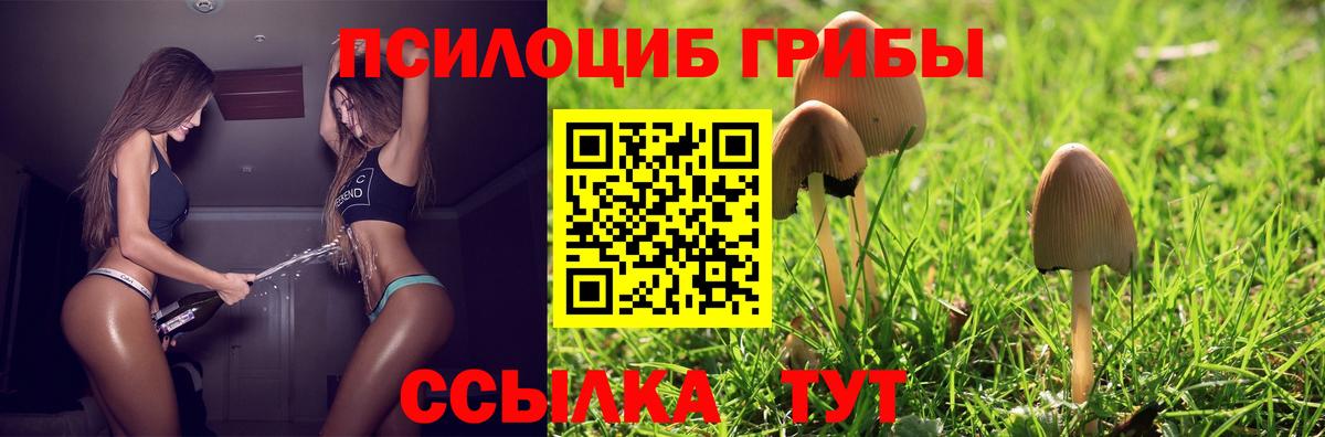 Галлюциногенные грибы прущие грибы  Вход с VPN  Калининград 
